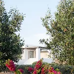Golden Paros