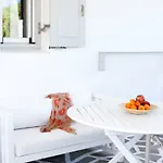 Golden Paros * 흐리시 악티