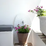 Golden Paros 아파트