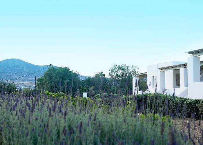 Golden Paros Apartment