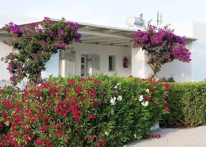 Golden Paros Apartment Chrisi Akti (Paros)