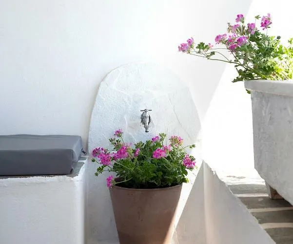 Golden Paros Apartment