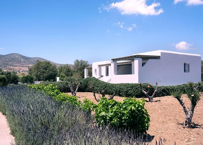 Golden Paros Chrisi Akti (Paros)