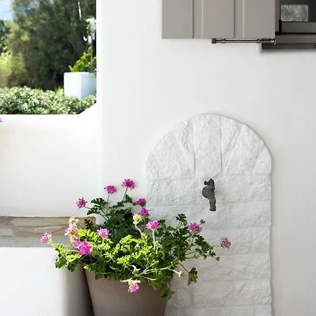 Golden Paros * Hriszí Aktí